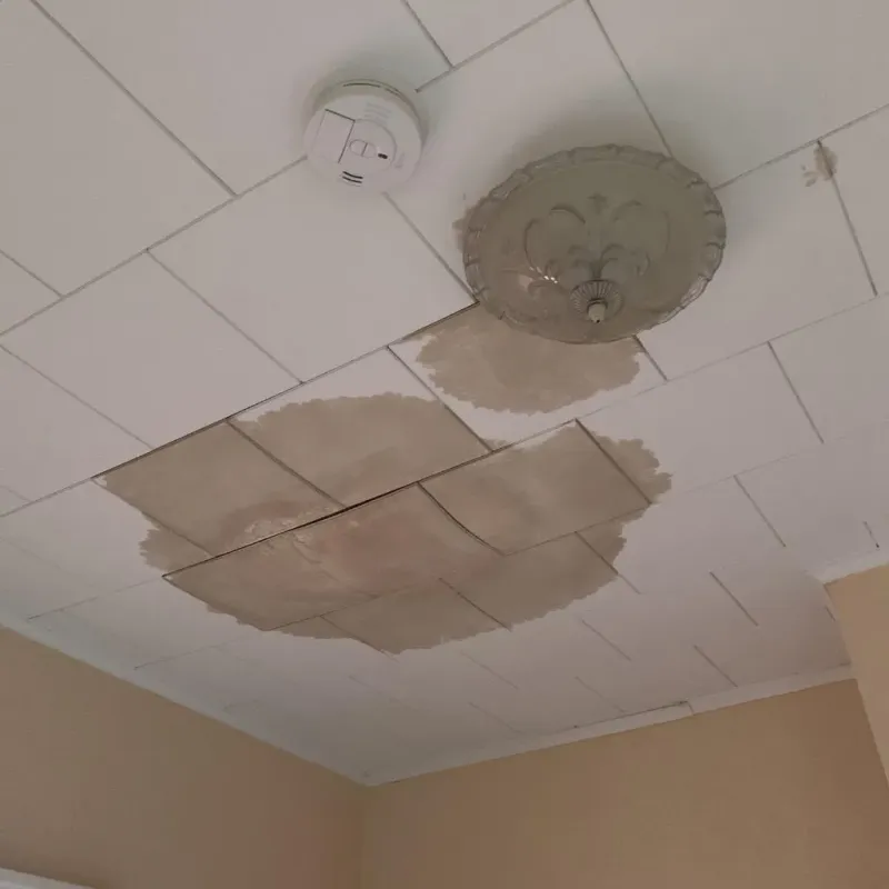 Ceiling Water Damage Repair in Westbrook Center, CT