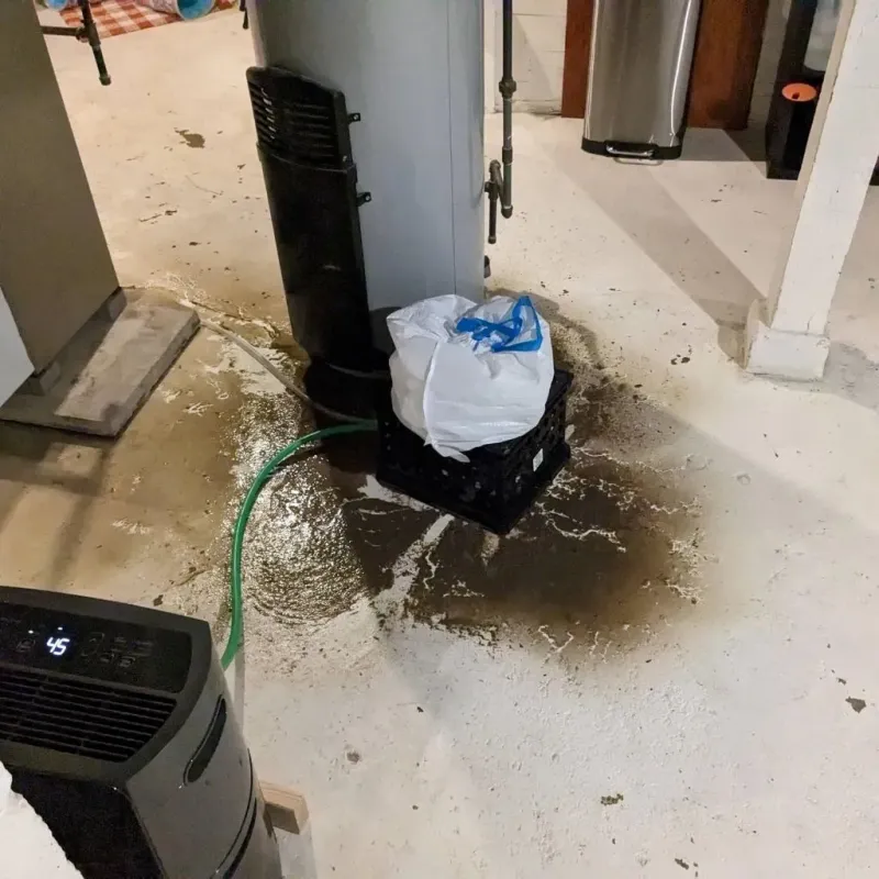 Sewage Backup Cleanup Service in Westbrook Center, CT